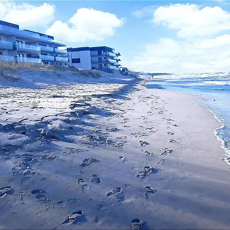 Gardenia 33 Superior