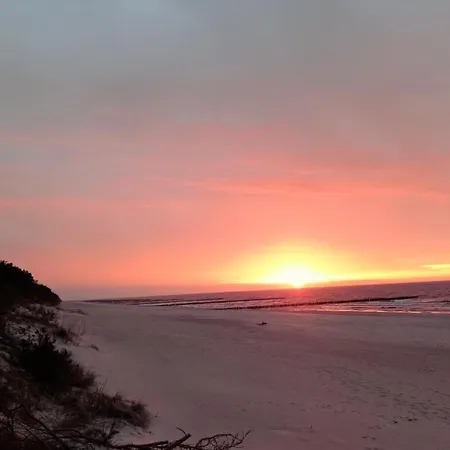 Gardenia 33 Superior Apartman *