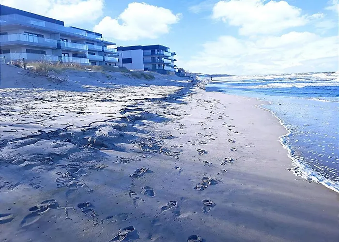 Gardenia 33 Superior